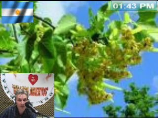 Radio Brazos Abiertos Hospital Muñiz Programa CULTURA Y SALUD 9 de abril de 2014 (2)