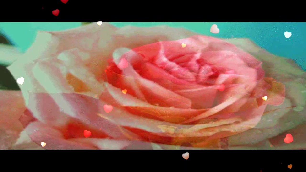 Marie douceur Marie colére   interprété par  Mary