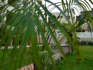 Nikon D5100 Pictures Taken