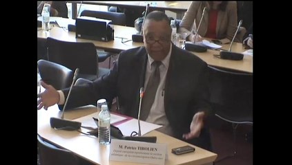 Audition de M. Patrice Tirolien, député européen, représentant la section Atlantique de la circonscription Outre-mer. - Jeudi 10 Avril 2014