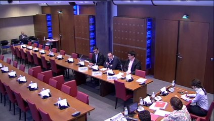 Audition de représentants de l'ISNAR-IMG - Jeudi 10 Avril 2014