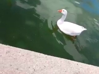 Mobile Capture Feb 12, 2014