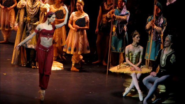 Баядерка - Светлана Захарова, Сергей Полунин - 28.11.2013