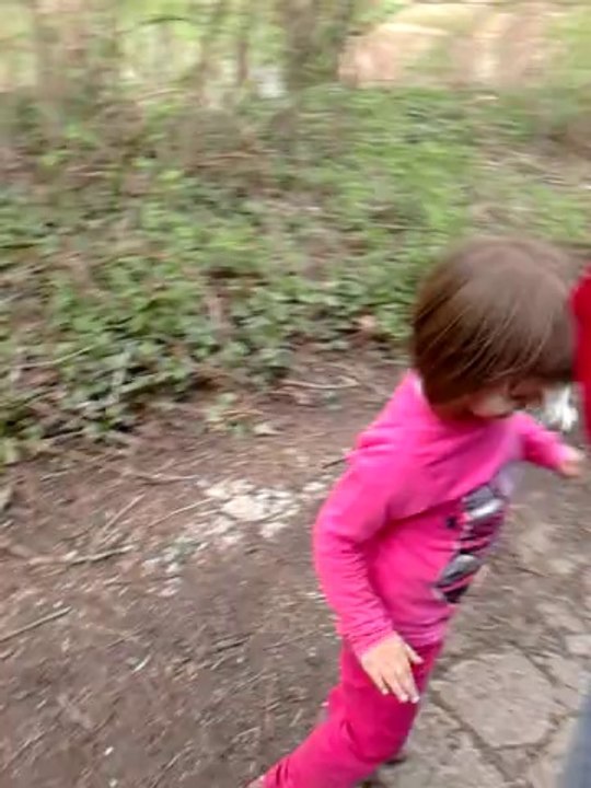 ma chienne princesse joue dehors encore