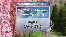 Spring weather continues, before showers fall on Sunday