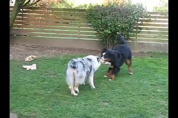 Jeux extérieurs 7 semaines et demi