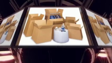 The Services of Professional Chicago Movers