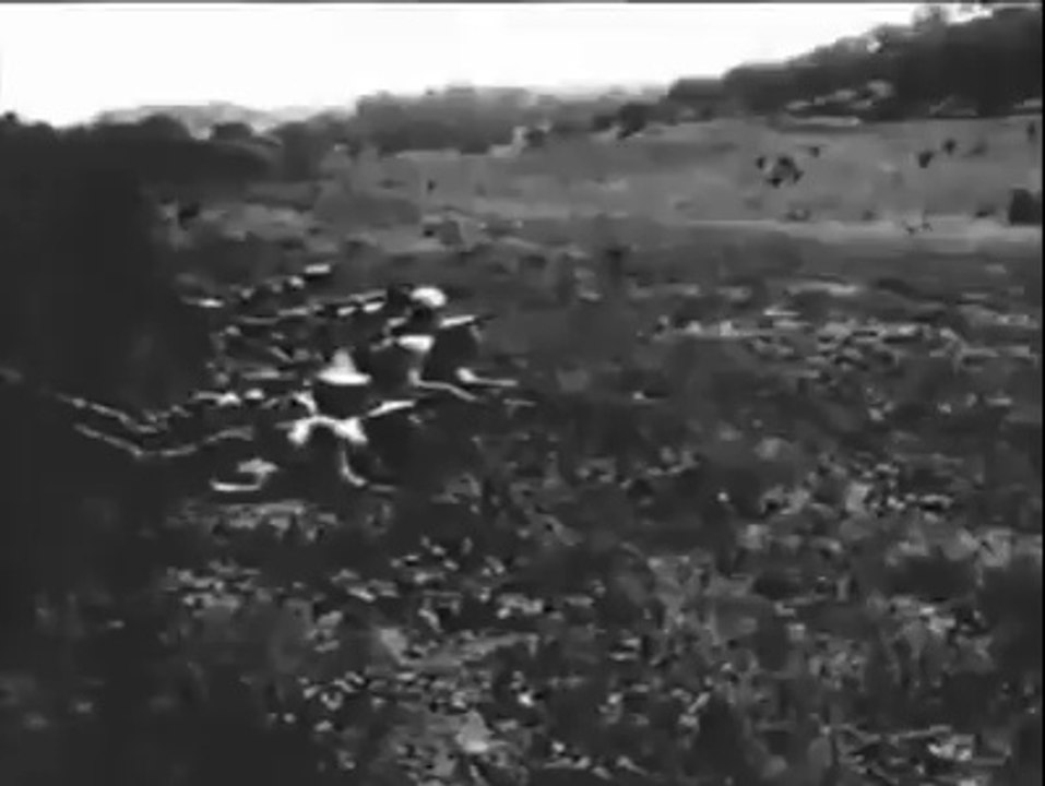 SARIKAMIŞ HAREKATI UÇAKTAN ÇEKİM 1914-1915