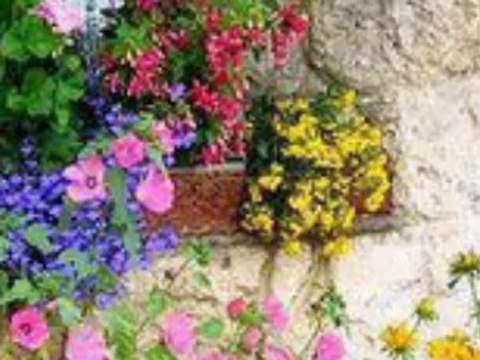 seninle olmanın en güzel yanı ne biliyor musun can yücel