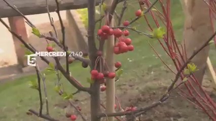 Silence ça pousse - spéciale  "Pas de panique" (16/04/2014) - Bande-annonce