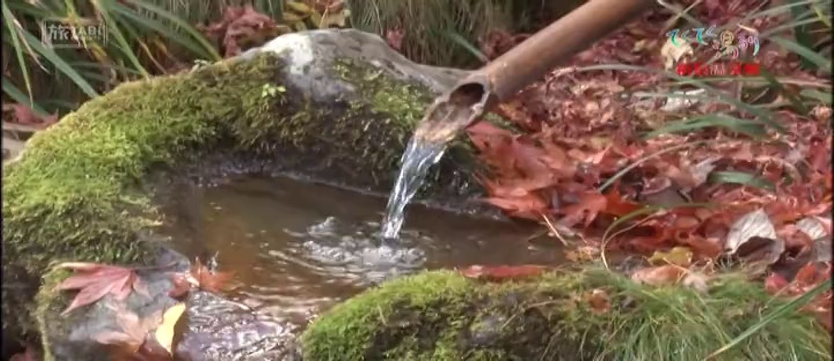 てくてく湯るり 箱根温泉卿