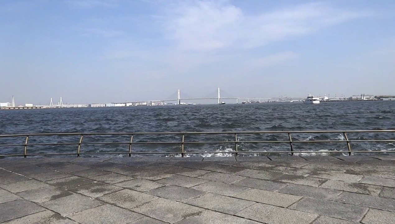 Yokohama waves