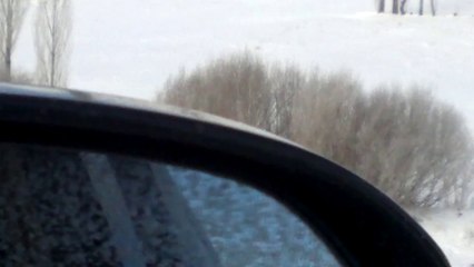 Doğal Hayatı Koruma Çalışmaları