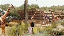 Les parcours pédagogiques du Parc zoologique de Paris