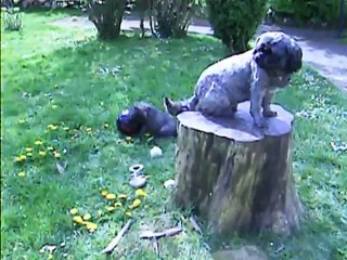 Chanel et Jaudy à midi