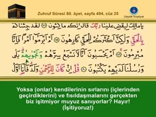 YİRMİBEŞİNCİ CÜZ KURANI KERİM SAYFA 494