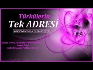 Nevzat Ak -Aklım Fikrim Sende Kaldı-MSM