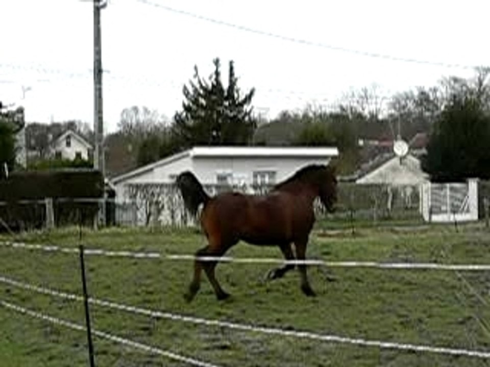 P1160382