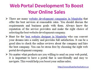 Web portal development to boost your online sales: