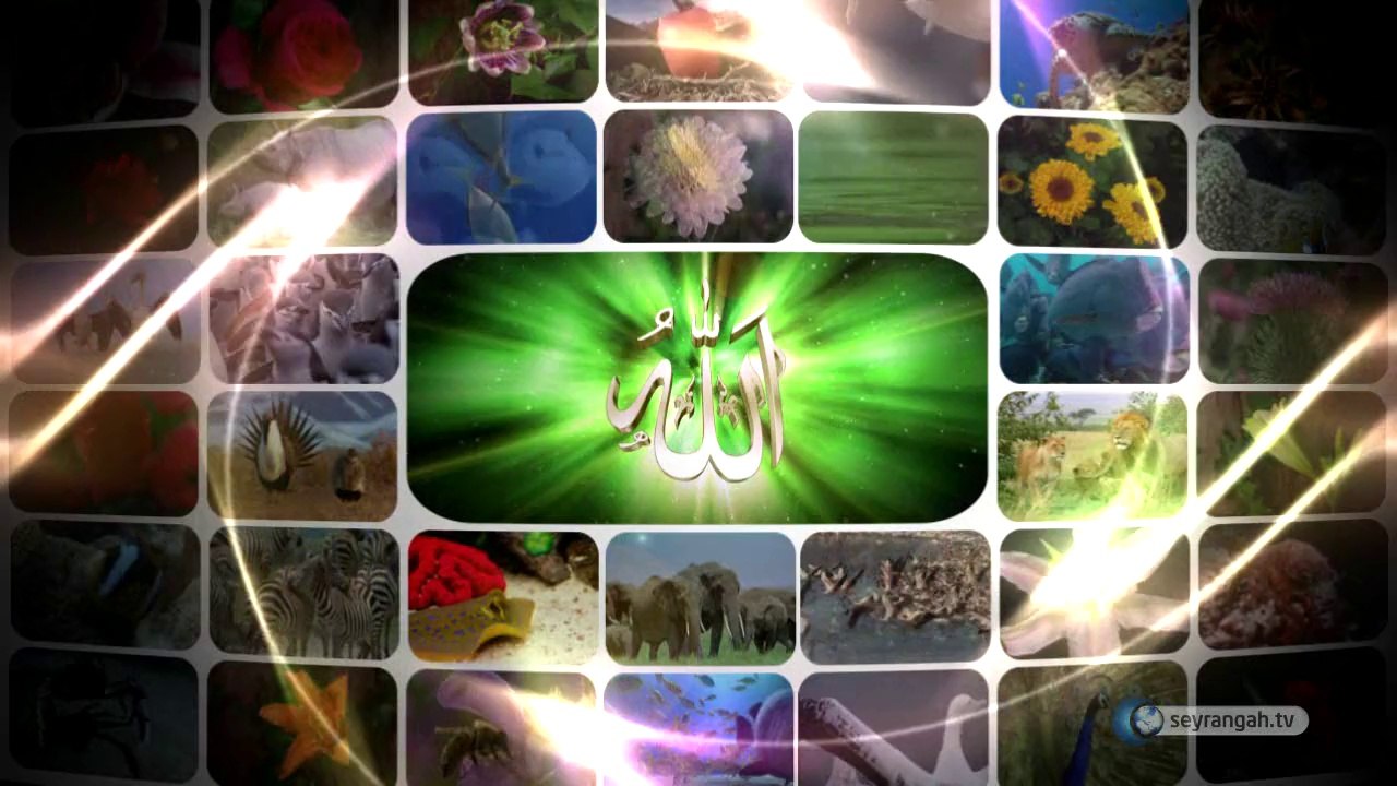 12- Hayat verme delili (Ahirete İman)