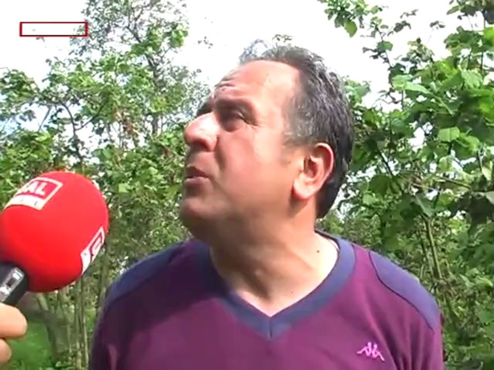Verim düşecek