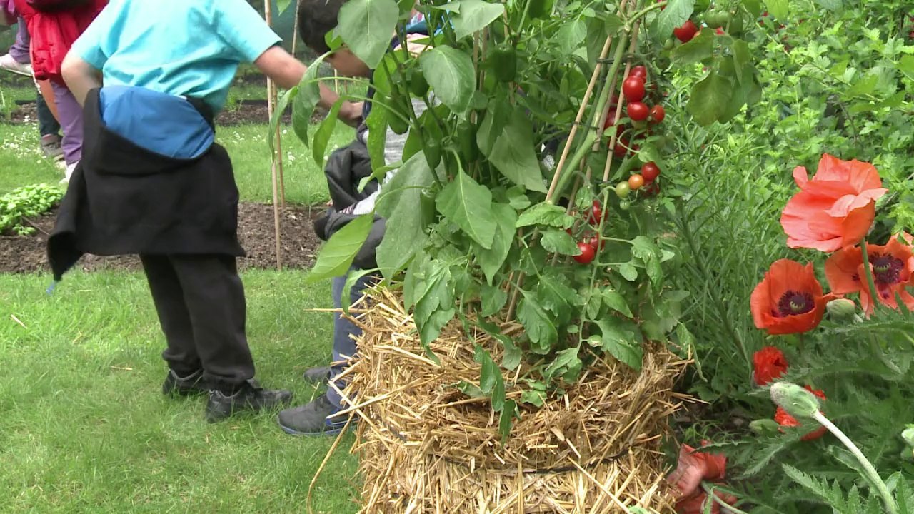 "Rendez-vous aux jardins": découverte du patrim...