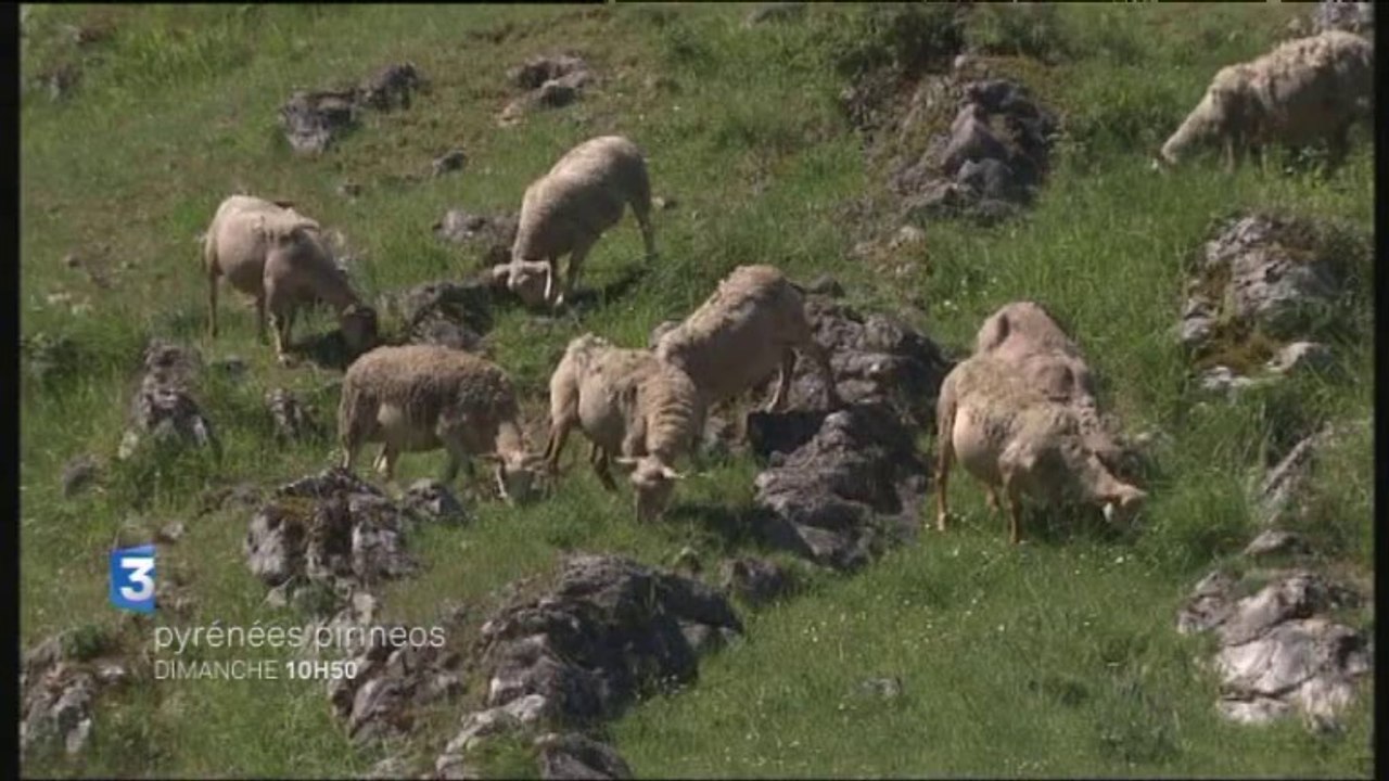 BA Pyrénées Pirineos n°25