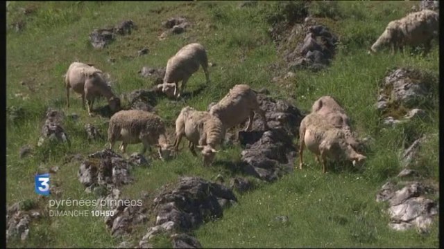 BA Pyrénées Pirineos n°25