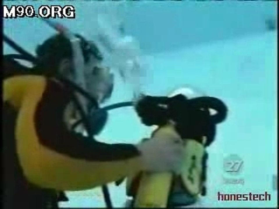 Scuba Diving Cat