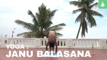 Yoga : Janu Balasana