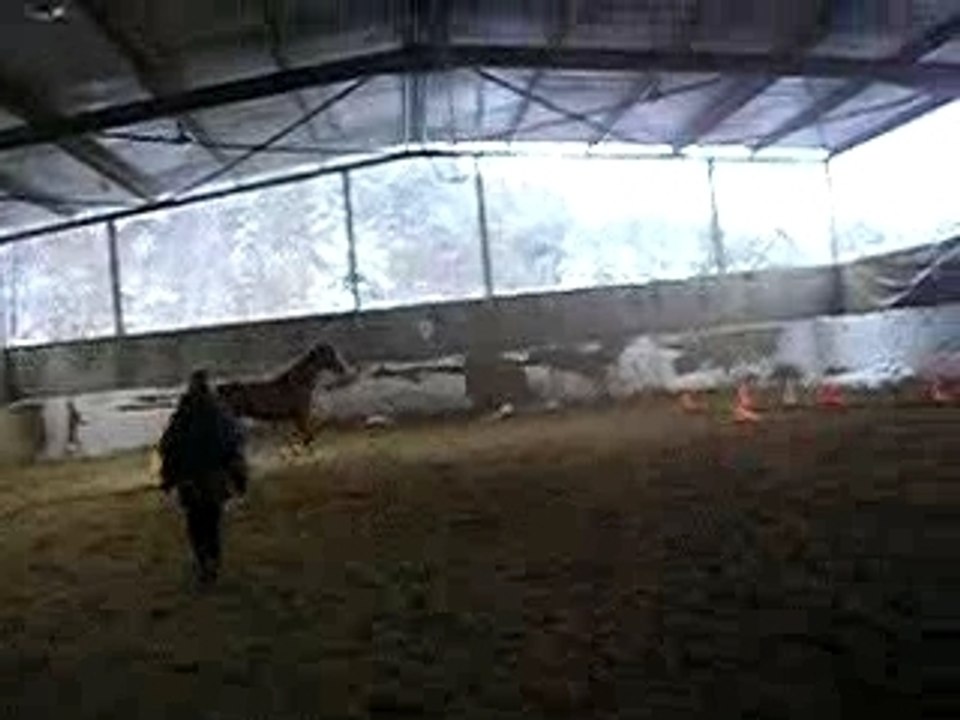 P1010008