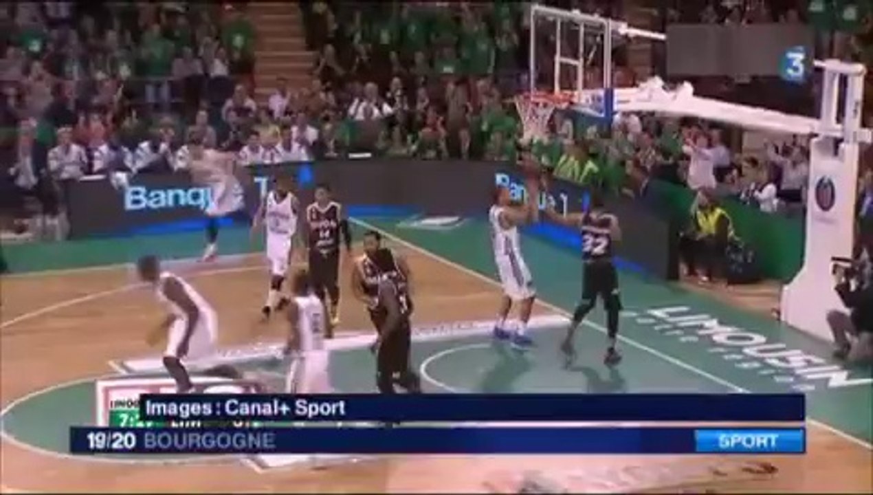 JT France 3 Bourgogne du 28 mai 2014 - Les oiseaux du Lac Kir de Dijon