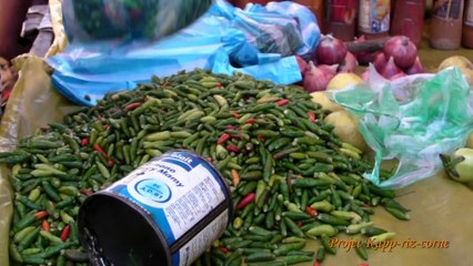 Latitudes La Réunion - Madagascar