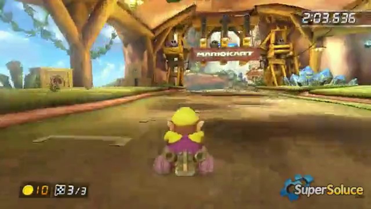 Coupe Fleur : Cascades Maskass