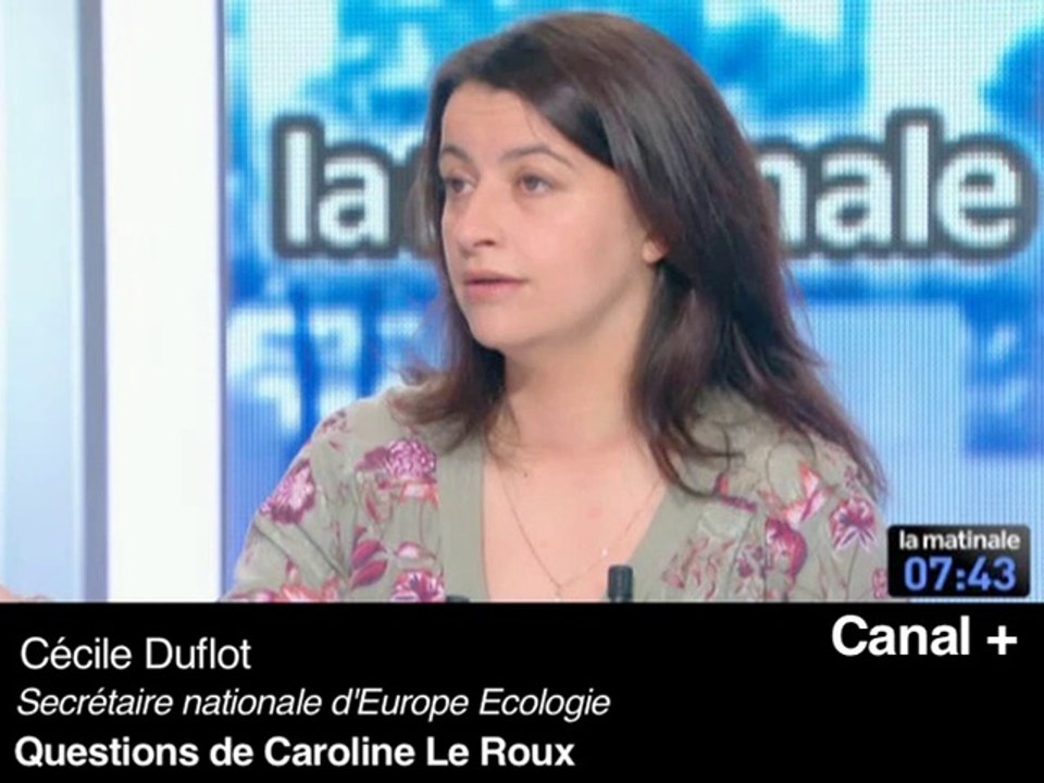Cécile Duflot : "Prendre le risque du nucléaire doit être un choix démocratique"