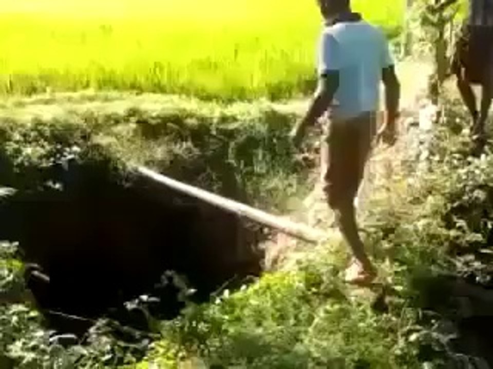 FUNNY