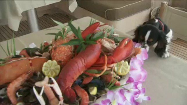 Moi, Michel G., milliardaire, maître du monde - Bande annonce