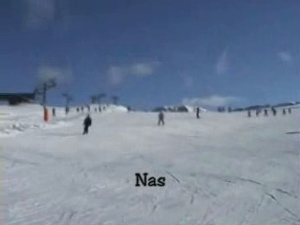 Les ted font du ski