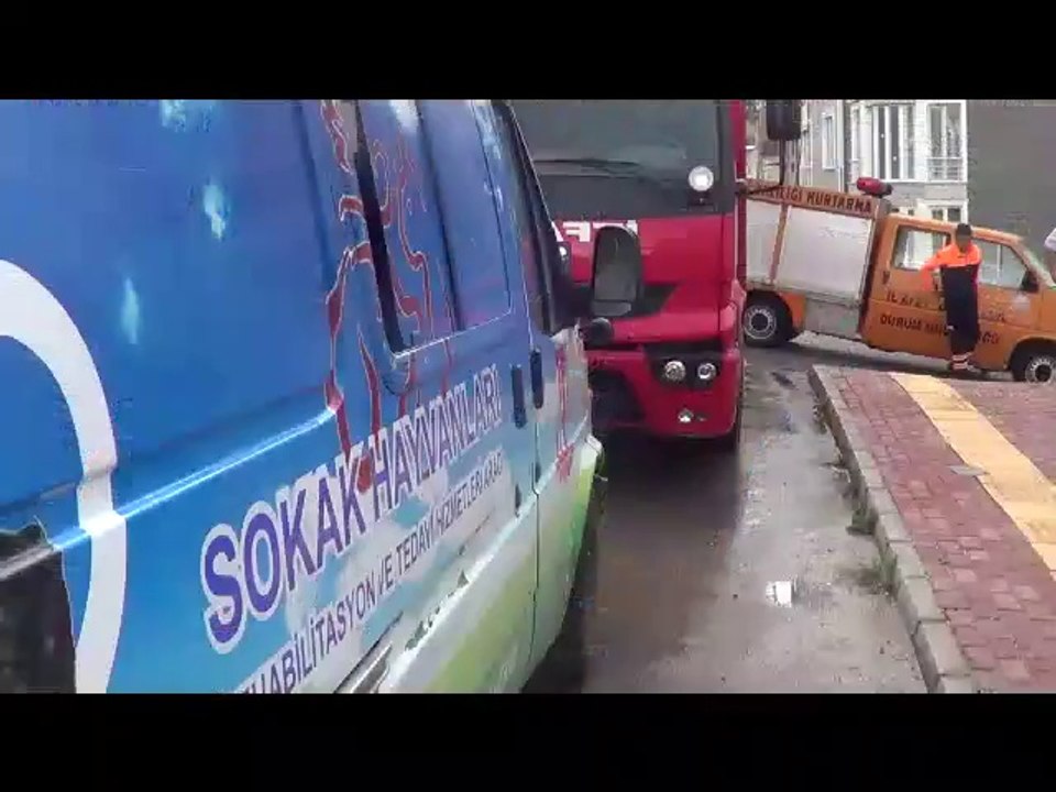 kedi kurtarma