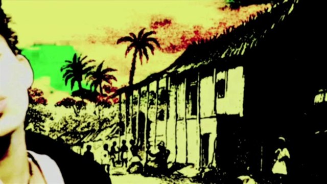 Nneka / Soul Is Heavy