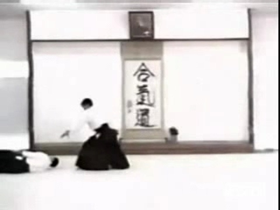 ushiro ryote dori - irimi nage