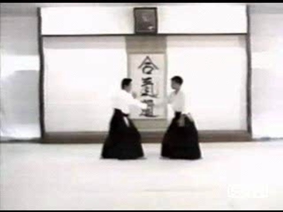 ai hammi katate dori - irimi nage