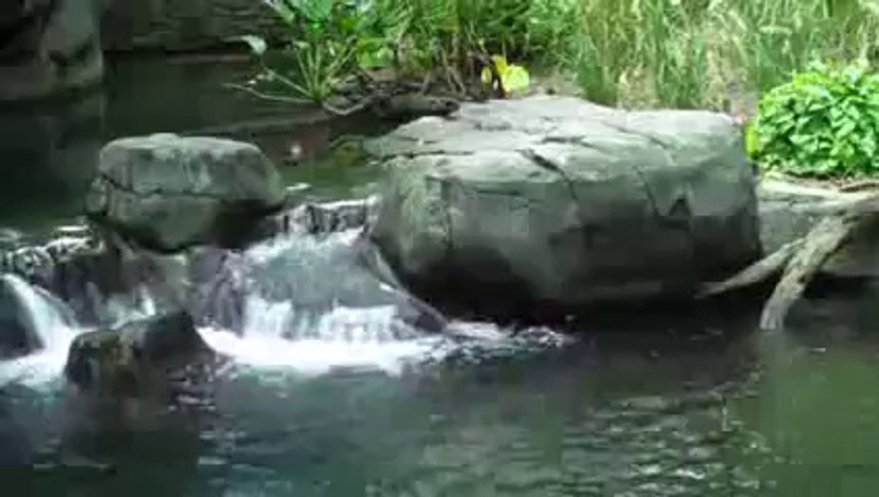 The Real Definition Of Sabr by Mufti Ismail Menk