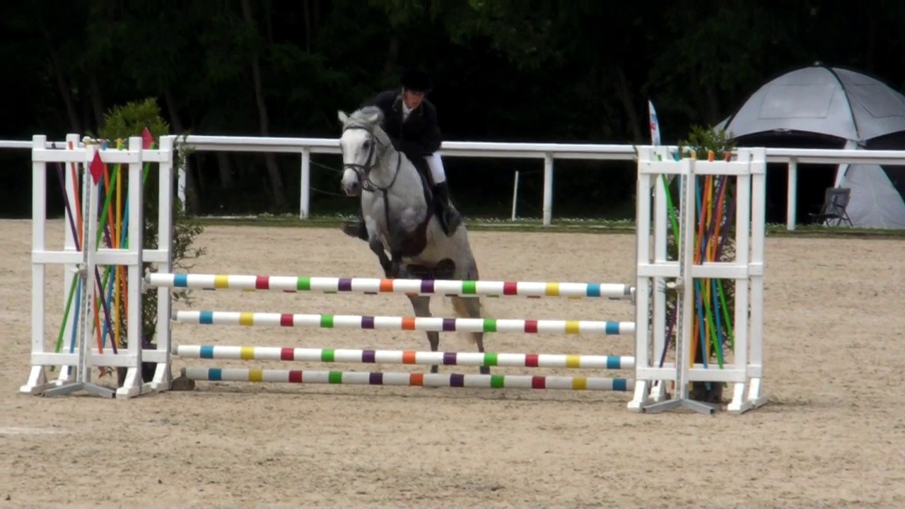 CCJP Le Lion 25 Mai 2014 ALTIA