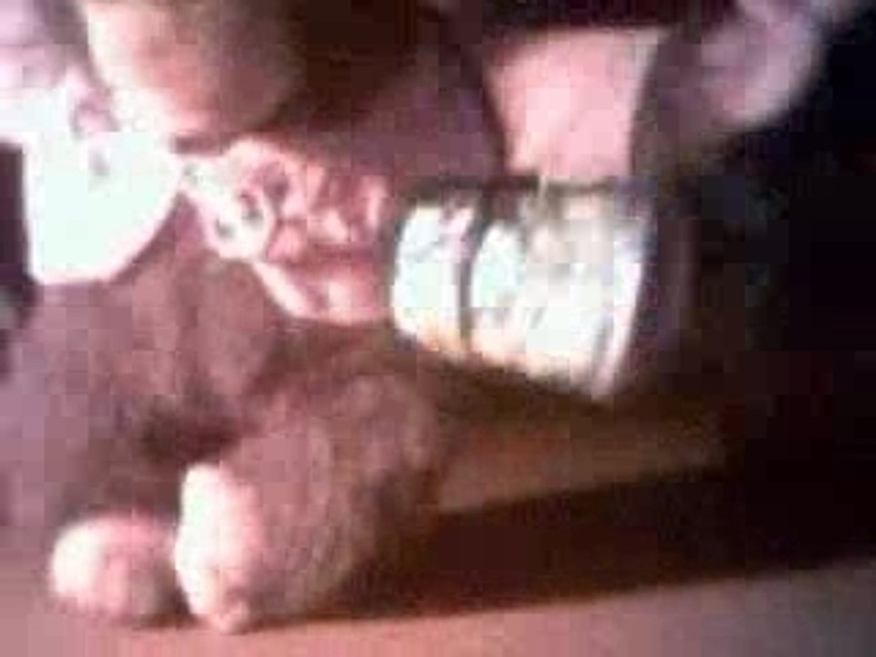 Singe attaqué par ovni