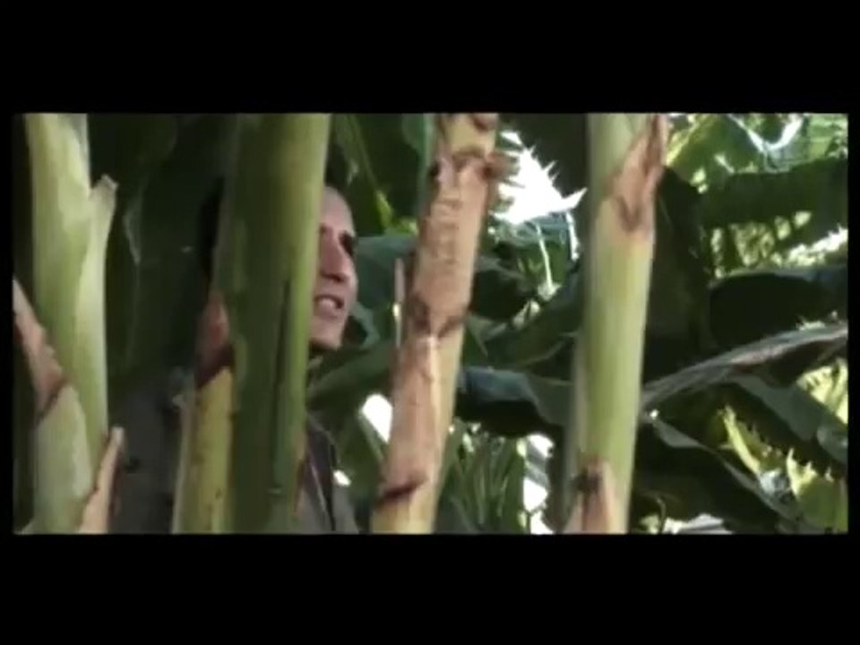 Yana Yakıla (Rafet El Roman)