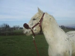 Une aprém de folie !!!