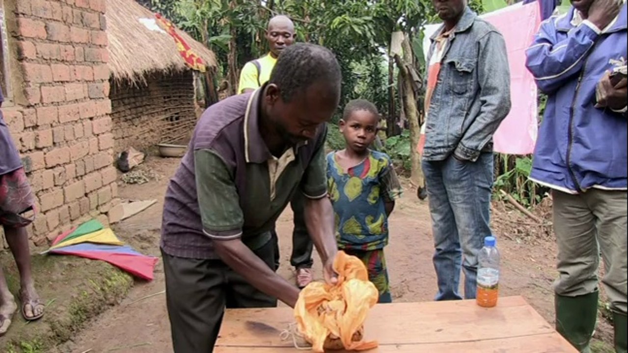 A la recherche du coltan au Congo