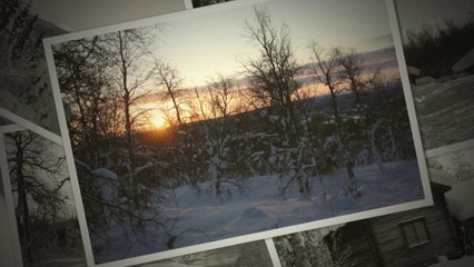 norrland husky