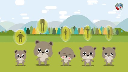 Evrim Mekanizmaları Nasıl Çalışır?